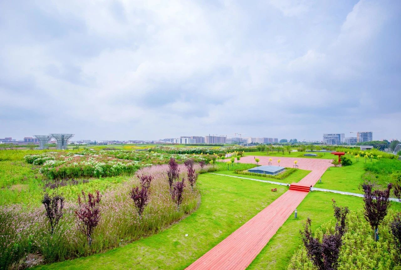 太阳成集团tyc151cc水务污水公司虹桥污水处理厂荣获五星“零碳工厂”认证